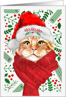 Bobtail Cat Ho Ho Ho Santa Hat Meowy Christmas Kitty card