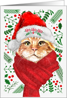 From the Cat Bobtail Ho Ho Ho Santa Hat Meowy Christmas card