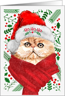 From the Cat Orange Persian Ho Ho Ho Santa Hat Meowy Christmas card
