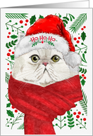 From the Cat White Persian Meowy Christmas card
