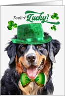 St Patrick’s Day Bernese Mountain Dog Feelin’ Lucky Clovers card