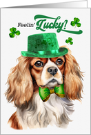 St Patrick’s Day Cavalier King Charles Dog Feelin’ Lucky Clovers card