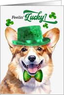 St Patrick’s Day Welsh Corgi Dog Feelin’ Lucky Clovers card