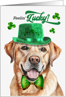 St Patrick’s Day Yellow Lab Dog Feelin’ Lucky Clovers card