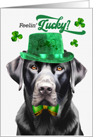 St Patrick’s Day Black Lab Dog Feelin’ Lucky Clovers card