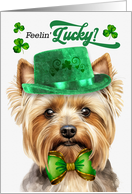 St Patrick’s Day Teacup Yorkshire Terrier Dog Feelin Lucky Clovers card