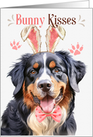 Easter Bunny Kisses Bernese Mountain Dog in Bunny Ears card