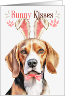 Easter Bunny Kisses Beagle Dog in Bunny Ears card