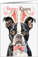 Easter Bunny Kisses Boston Terrier Dog in Bunny Ears card