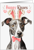 Easter Bunny Kisses Greyhound Dog in Bunny Ears card