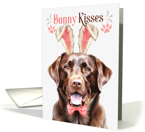 Easter Bunny Kisses Chocolate Labrador Retriever Dog in... (1757424)