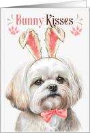 Easter Bunny Kisses Maltese Dog in Bunny Ears card