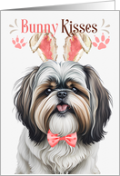 Easter Bunny Kisses Shih Tzu in Bunny Ears card