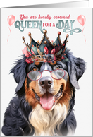 Birthday Bernese Mountain Dog Funny Queen for a Day card