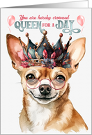 Birthday Smiling Chihuahua Dog Funny Queen for a Day card