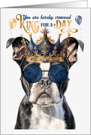 Birthday Boston Terrier Dog Funny King for a Day card