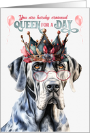 Birthday Great Dane Dog Funny Queen for a Day card