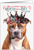 Birthday Tan Pitbull Staffordshire Dog Funny Queen for a Day card