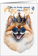 Birthday Pomeranian Dog Funny King for a Day card