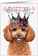 Birthday Tan Toy Poodle Dog Funny Queen for a Day card