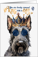 Birthday Scottish Terrier Dog Funny King for a Day card
