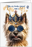 Birthday Cairn Terrier Dog Funny King for a Day card