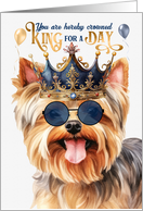 Birthday Teacup Yorkshire Terrier Dog Funny King for a Day card