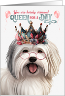 Birthday Coton de Tulear Dog Funny Queen for a Day card