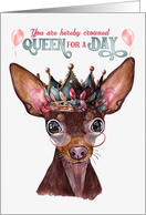 Birthday Russian Toy Terrier Dog Funny Queen for a Day card