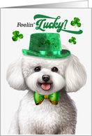 St Patrick’s Day Bichon Frise Dog Feelin’ Lucky Clovers card