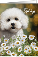 Bichon Frise Dog Birthday with Daisies and Bokeh Background card