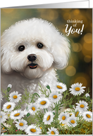 Bichon Frise Dog Thinking of You Daisies and Bokeh Background card
