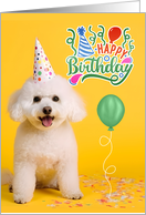 Birthday Bichon Frise Dog in a Party Hat on Yellow card