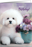 Birthday Bichon Frise Dog with Purple Flowers in a Pot card