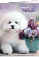 Get Well Bichon Frise Dog with Purple Flowers in a Pot card