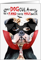 English Bulldog Dog Funny Halloween Count DOGcula card