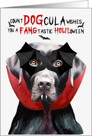 Black Labrador Retriever Dog Funny Halloween Count DOGcula card