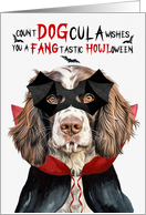 English Springer Dog Funny Halloween Count DOGcula card