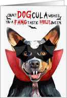 Queensland Blue Heeler Dog Funny Halloween DOGcula card