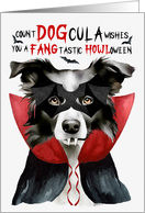 Border Collie Dog Funny Halloween DOGcula card