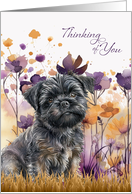 Thinking of You Affenpinscher Dog with Purple Wildflowers card