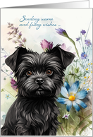 Get Well Affenpinscher Dog Wildflower Garden card