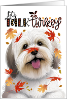 Thanksgiving Coton de Tulear Dog Funny Let’s Talk Turkey Theme card