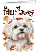 Thanksgiving Maltese Dog Funny Let’s Talk Turkey Theme card
