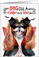 Cavalier King Charles Spaniel Dog Funny Halloween DOGcula card