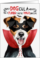Jack Russell Dog Funny Halloween DOGcula card