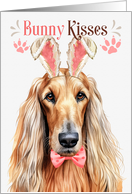 Easter Bunny Kisses Afghan Hound Dog in Bunny Ears card