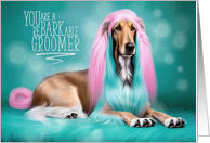 Pet Groomer Thank You Afghan Hound Pink and Turquoise Hair card
