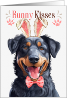 Easter Bunny Kisses Beauceron Dog in Bunny Ears card