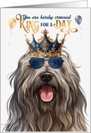 Birthday Bergamasco Dog Funny King for a Day card